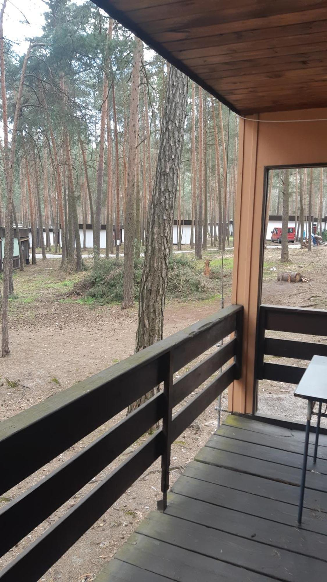 Chatky Pod Bornym Machovo Jezero Doksy  Eksteriør billede